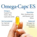 Omega-Caps ES for Large & Giant Dogs - Omega 3, Vitamins, Minerals, Antioxidants - Support Immune System, Joints, Heart, and Brain - 250 Softgel Capsules