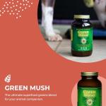 HealthForce SuperFoods Green Mush - 10 Oz Powder