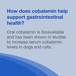Nutramax Cobalequin B12 Supplement for Cats and Small Dogs, 45 Count (Pack of 1)