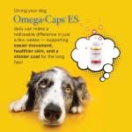 Omega-Caps ES for Large & Giant Dogs - Omega 3, Vitamins, Minerals, Antioxidants - Support Immune System, Joints, Heart, and Brain - 250 Softgel Capsules