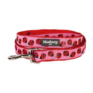 Blueberry Pet Essentials 2 Patterns Durable Pink Webbing Ladybug Designer Dog Leash 5 ft x 5/8", Small, Basic Nylon Leashes for Dogs