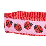 Blueberry Pet Essentials 2 Patterns Durable Pink Webbing Ladybug Designer Dog Leash 5 ft x 5/8", Small, Basic Nylon Leashes for Dogs
