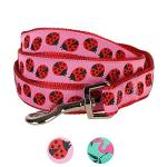 Blueberry Pet Essentials 2 Patterns Durable Pink Webbing Ladybug Designer Dog Leash 5 ft x 5/8", Small, Basic Nylon Leashes for Dogs