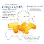 Omega-Caps ES for Large & Giant Dogs - Omega 3, Vitamins, Minerals, Antioxidants - Support Immune System, Joints, Heart, and Brain - 250 Softgel Capsules