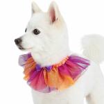 Blueberry Pet Halloween Party Adjustable Breakaway Costume Dog Collar in Warm Tone, X-Small