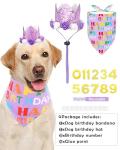 PET SHOW Purple Crown Dog Birthday Party Hat with Bandana Set for Girls Reusable Party Supplies Cat Kitten Headband with 0-9 Numbers Charms Costume Accessories with Glue
