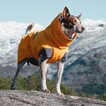 Hurtta Expedition Parka, Winter Dog Coat, Buckthorn, 22 in