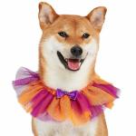Blueberry Pet Halloween Party Adjustable Breakaway Costume Dog Collar in Warm Tone, X-Small