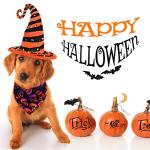 Frienda 20 Pcs Halloween Dog Bandanas Bulk Skeleton Dog Bandanas Soft Breathable Adjustable Pumpkin Bat Ghost Patterns Halloween Costume for Small to Large Dogs(X-Large)