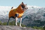 Hurtta Expedition Parka, Winter Dog Coat, Buckthorn, 22 in