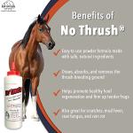 Four Oaks Farm Ventures, No Thrush Dry Powder Treatment for Horses - Wound Care, Scratches, Rain Rot, Mud Fever, Coat Fungus - All Natural Ingredients, Non-caustic, Easy to Use Powder Formula (10 oz)