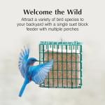 C&S EZ Fill Suet Basket, Suet Feeders for Wild Birds, Holds One Suet Cake, 8 Ounces