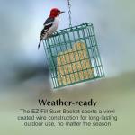 C&S EZ Fill Suet Basket, Suet Feeders for Wild Birds, Holds One Suet Cake, 8 Ounces