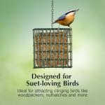 C&S EZ Fill Suet Basket, Suet Feeders for Wild Birds, Holds One Suet Cake, 8 Ounces