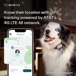 Whistle Switch GPS Dog Health Monitor Collier