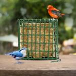 C&S EZ Fill Suet Basket, Suet Feeders for Wild Birds, Holds One Suet Cake, 8 Ounces