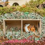 Niteangel Hamster Secret Peep Shed 2-Chamber Hideout & Tunnel Exploring Toys (Large - for Syrian Hamster)