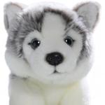 Carl Dick Husky Sitting, 8.5 inches, 22cm, Plush Toy, Soft Toy, Stuffed Animal 3134