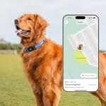 Fi New Series 3+ Smart Dog Tracker Collar – AI GPS for Dogs, Health & Behavior Monitor, Virtual Fence, Escape Alerts, Waterproof, Apple Watch Compatible [12Mo Membership Included] (Blue, Large)