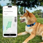 Fi New Series 3+ Smart Dog Tracker Collar – AI GPS for Dogs, Health & Behavior Monitor, Virtual Fence, Escape Alerts, Waterproof, Apple Watch Compatible [12Mo Membership Included] (Blue, Large)