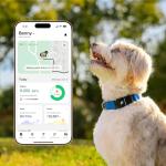 Fi New Series 3+ Smart Dog Tracker Collar – AI GPS for Dogs, Health & Behavior Monitor, Virtual Fence, Escape Alerts, Waterproof, Apple Watch Compatible [12Mo Membership Included] (Blue, Large)