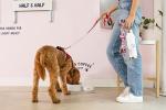 Support Pets Official ESA Dog Leash – Emotional Support Animal Leash with Printed Text – Heavy-Duty Nylon Lead for Support Pets – Public Friendly ESA Accessory