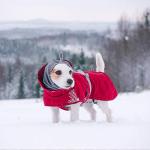 Hurtta Extreme Warmer Dog Winter Jacket, Lingon, 24 in