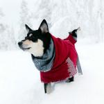 Hurtta Extreme Warmer Dog Winter Jacket, Lingon, 24 in