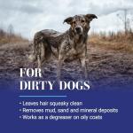 Chris Christensen Clean Start Clarifying Dog Shampoo - Pro-Vitamin Formula That Won’t Strip The Coat! Removes Product Build-up, Waxes, Oil and Dirt (16 Ounces)