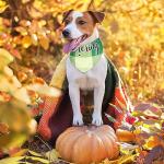 Sweetude 100 Pcs Fall Dog Bandanas Bulk Plaid Bandanas for Dog Autumn Thanksgiving Pet Scarf Bibs Adjustable Triangle Kerchief Grooming Supplies Pet Costume for Small Medium Large