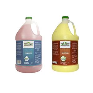 GreenGroom Odor Eliminator Shampoo and Green Groom Complete Coat Dog Conditioner Gallon | All Natural Ingredients, Concentrated 32 to 1, Crafted with Odortrol for Powerful Deodorization