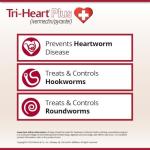 TRI-HEART PLUS Chewable Tablet for Dogs, up to 25 lbs (Blue Box), 6 Chewable Tablets, 6-Month Supply