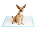 So Phresh X-Large Leak Guard Quilted Potty Pads Count of 50