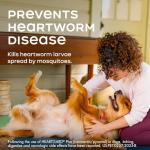 HEARTGARD® Plus (ivermectin/pyrantel) Real-Beef Chewables for Dogs up to 25 lbs (Blue Box) 6 Month Supply of Chews (Heartworm Disease Preventive)
