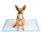 So Phresh X-Large Leak Guard Quilted Potty Pads Count of 50