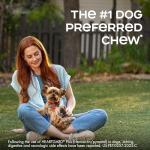 HEARTGARD® Plus (ivermectin/pyrantel) Real-Beef Chewables for Dogs up to 25 lbs (Blue Box) 6 Month Supply of Chews (Heartworm Disease Preventive)