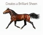 MinkSheen Pet Shampoo - 128 oz