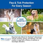 NexGard® (afoxolaner) Flea and Tick Protection for Dogs Oral Soft Beef Flavored Chewables, 60.1 to 121 lbs (Red Box) 6 Chews (6 Month Supply)