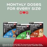HEARTGARD® Plus (ivermectin/pyrantel) Real-Beef Chewables for Dogs up to 25 lbs (Blue Box) 6 Month Supply of Chews (Heartworm Disease Preventive)