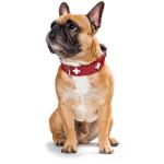 Hunter - Swiss 47-54Cm Necklace Red/Black
