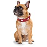 Hunter - Swiss 47-54Cm Necklace Red/Black