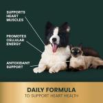 VetriScience CoQ10 Healthy Heart Easy-Open Capsules, Coenzyme Q10 Cardio and Healthy Aging Supplement for Dogs and Cats, Heart Support Supplement with 10 mg CoQ10, 100 Count