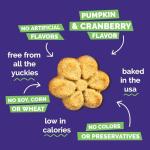 Fruitables Baked Dog Treats Variety 4 Pack (Pumpkin & Apple, Banana, Blueberry, Cranberry) - 7 oz (4 Pack)