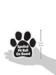 Imagine This Paw Car Magnet, Spoiled Pitbull on Board, 5-1/2-Inch by 5-1/2-Inch