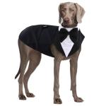 QBLEEV Tuxedo for Large Dogs, Suit and Bandana Set, Wedding Outfit With Bow Tie, Formal Tux Costume for Halloween, Christmas, Birthday Party, Cosplay, Black 2XL