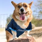 NFL Tennessee Titans Dog Jersey, Size: Small. Best Football Jersey Costume for Dogs & Cats. Licensed Jersey Shirt