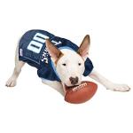 NFL Tennessee Titans Dog Jersey, Size: Small. Best Football Jersey Costume for Dogs & Cats. Licensed Jersey Shirt