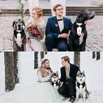GOYOSWA Dog Tuxedo Suit Wedding Bandana Collar with Bow Tie, Adjustable Formal Dog Tux, Engagement Birthday Tuxedo for Small Medium Large Dogs Pets (Large: Neck 15”-25”)