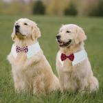 Dog Bow Tie, KOOLMOX 8PCS Adjustable Tuxedo Collar Sewed wtih Bow Ties for Dogs Formal Wear Dog Wedding Outfit Attire Dress Suit, Dog Tuxedo for Medium Dogs Large Dogs Costumes Accessories, White