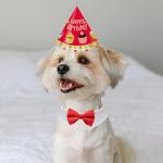 Dog Bow Tie, KOOLMOX 8PCS Adjustable Tuxedo Collar Sewed wtih Bow Ties for Dogs Formal Wear Dog Wedding Outfit Attire Dress Suit, Dog Tuxedo for Medium Dogs Large Dogs Costumes Accessories, White